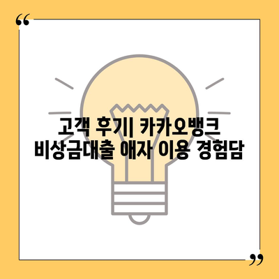 카카오뱅크 비상금대출 애자