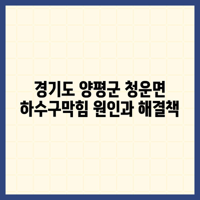 경기도 양평군 청운면 하수구막힘 | 가격 | 비용 | 기름제거 | 싱크대 | 변기 | 세면대 | 역류 | 냄새차단 | 2024 후기