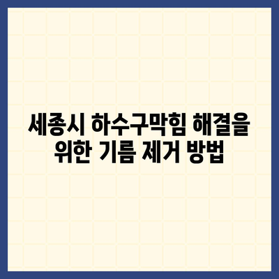 세종시 세종특별자치시 부강면 하수구막힘 | 가격 | 비용 | 기름제거 | 싱크대 | 변기 | 세면대 | 역류 | 냄새차단 | 2024 후기