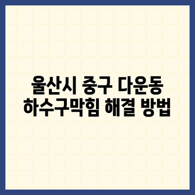 울산시 중구 다운동 하수구막힘 | 가격 | 비용 | 기름제거 | 싱크대 | 변기 | 세면대 | 역류 | 냄새차단 | 2024 후기