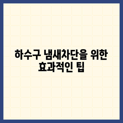 충청북도 진천군 이월면 하수구막힘 | 가격 | 비용 | 기름제거 | 싱크대 | 변기 | 세면대 | 역류 | 냄새차단 | 2024 후기