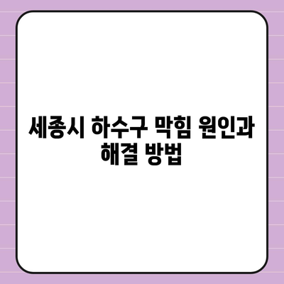 세종시 세종특별자치시 고운동 하수구막힘 | 가격 | 비용 | 기름제거 | 싱크대 | 변기 | 세면대 | 역류 | 냄새차단 | 2024 후기