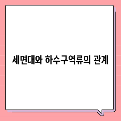 광주시 서구 유덕동 하수구막힘 | 가격 | 비용 | 기름제거 | 싱크대 | 변기 | 세면대 | 역류 | 냄새차단 | 2024 후기