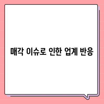 카카오골프퀀텀 매각 이슈 논란과 대응 방안