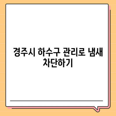 경상북도 경주시 황성동 하수구막힘 | 가격 | 비용 | 기름제거 | 싱크대 | 변기 | 세면대 | 역류 | 냄새차단 | 2024 후기