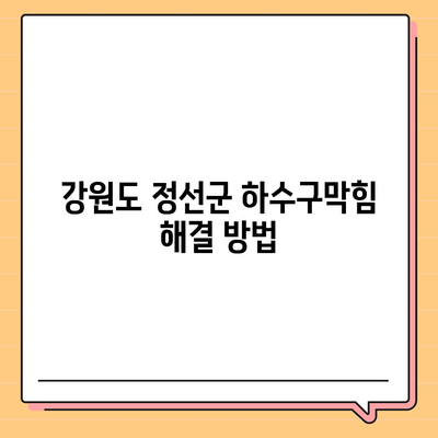 강원도 정선군 화암면 하수구막힘 | 가격 | 비용 | 기름제거 | 싱크대 | 변기 | 세면대 | 역류 | 냄새차단 | 2024 후기