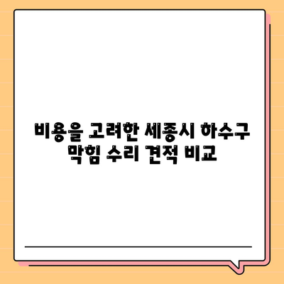 세종시 세종특별자치시 부강면 하수구막힘 | 가격 | 비용 | 기름제거 | 싱크대 | 변기 | 세면대 | 역류 | 냄새차단 | 2024 후기