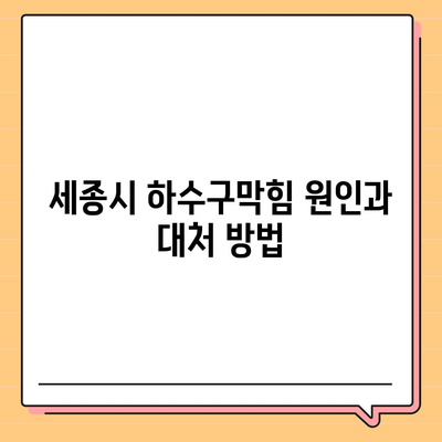 세종시 세종특별자치시 소정면 하수구막힘 | 가격 | 비용 | 기름제거 | 싱크대 | 변기 | 세면대 | 역류 | 냄새차단 | 2024 후기