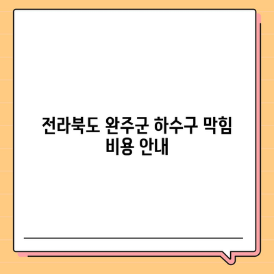 전라북도 완주군 동상면 하수구막힘 | 가격 | 비용 | 기름제거 | 싱크대 | 변기 | 세면대 | 역류 | 냄새차단 | 2024 후기