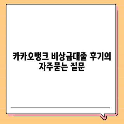 카카오뱅크 비상금대출 후기