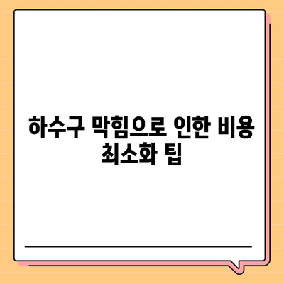 경상북도 안동시 송하동 하수구막힘 | 가격 | 비용 | 기름제거 | 싱크대 | 변기 | 세면대 | 역류 | 냄새차단 | 2024 후기