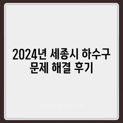 세종시 세종특별자치시 연서면 하수구막힘 | 가격 | 비용 | 기름제거 | 싱크대 | 변기 | 세면대 | 역류 | 냄새차단 | 2024 후기