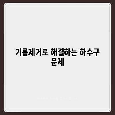 인천시 서구 가정3동 하수구막힘 | 가격 | 비용 | 기름제거 | 싱크대 | 변기 | 세면대 | 역류 | 냄새차단 | 2024 후기