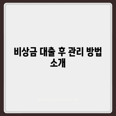 카카오뱅크 pc버전 비상금대방법