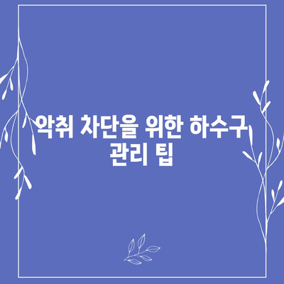 세종시 세종특별자치시 고운동 하수구막힘 | 가격 | 비용 | 기름제거 | 싱크대 | 변기 | 세면대 | 역류 | 냄새차단 | 2024 후기