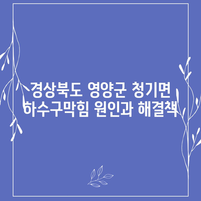 경상북도 영양군 청기면 하수구막힘 | 가격 | 비용 | 기름제거 | 싱크대 | 변기 | 세면대 | 역류 | 냄새차단 | 2024 후기