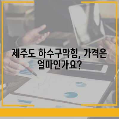 제주도 제주시 이호동 하수구막힘 | 가격 | 비용 | 기름제거 | 싱크대 | 변기 | 세면대 | 역류 | 냄새차단 | 2024 후기