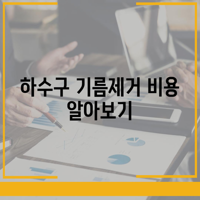 경상남도 남해군 고현면 하수구막힘 | 가격 | 비용 | 기름제거 | 싱크대 | 변기 | 세면대 | 역류 | 냄새차단 | 2024 후기