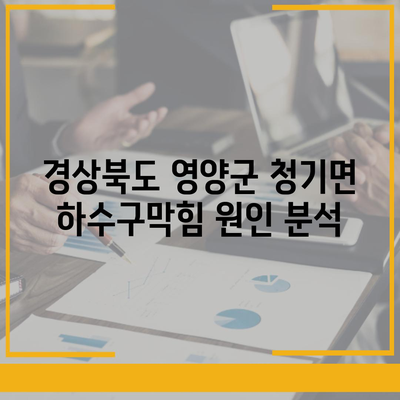 경상북도 영양군 청기면 하수구막힘 | 가격 | 비용 | 기름제거 | 싱크대 | 변기 | 세면대 | 역류 | 냄새차단 | 2024 후기