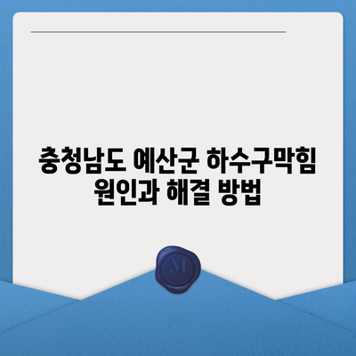 충청남도 예산군 광시면 하수구막힘 | 가격 | 비용 | 기름제거 | 싱크대 | 변기 | 세면대 | 역류 | 냄새차단 | 2024 후기