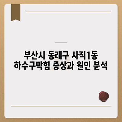 부산시 동래구 사직1동 하수구막힘 | 가격 | 비용 | 기름제거 | 싱크대 | 변기 | 세면대 | 역류 | 냄새차단 | 2024 후기