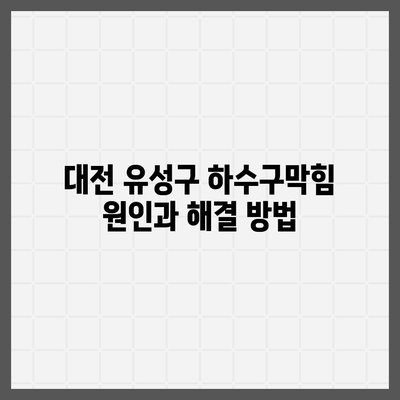 대전시 유성구 원신흥동 하수구막힘 | 가격 | 비용 | 기름제거 | 싱크대 | 변기 | 세면대 | 역류 | 냄새차단 | 2024 후기