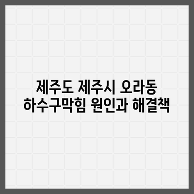 제주도 제주시 오라동 하수구막힘 | 가격 | 비용 | 기름제거 | 싱크대 | 변기 | 세면대 | 역류 | 냄새차단 | 2024 후기