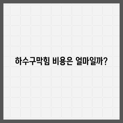 대전시 유성구 노은1동 하수구막힘 | 가격 | 비용 | 기름제거 | 싱크대 | 변기 | 세면대 | 역류 | 냄새차단 | 2024 후기