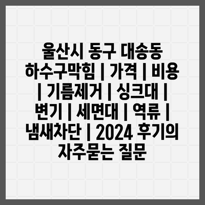 울산시 동구 대송동 하수구막힘 | 가격 | 비용 | 기름제거 | 싱크대 | 변기 | 세면대 | 역류 | 냄새차단 | 2024 후기