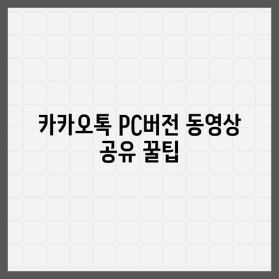 카카오톡 pc버전 동영상