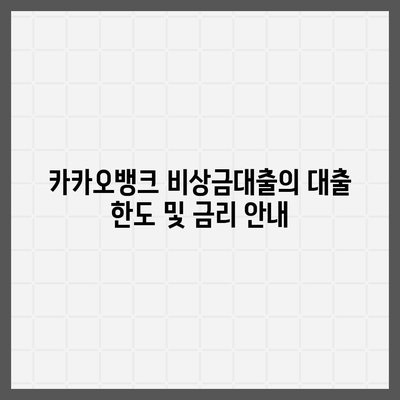 카카오뱅크 비상금대출 조건