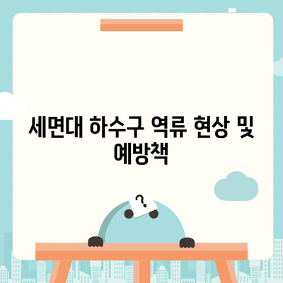 부산시 기장군 철마면 하수구막힘 | 가격 | 비용 | 기름제거 | 싱크대 | 변기 | 세면대 | 역류 | 냄새차단 | 2024 후기