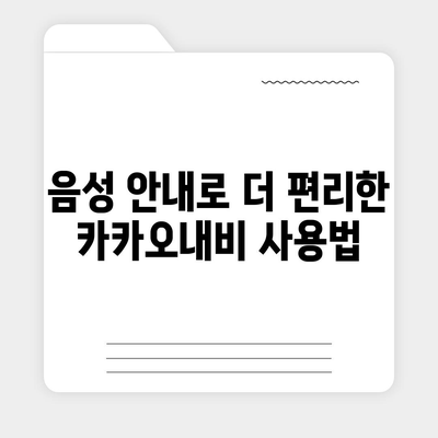 카카오내비