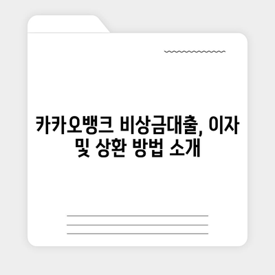 카카오뱅크 비상금대출