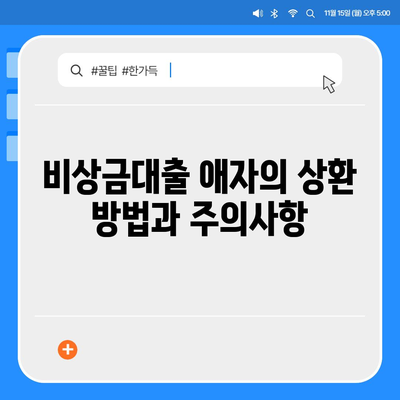 카카오뱅크 비상금대출 애자