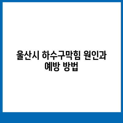 울산시 남구 신정3동 하수구막힘 | 가격 | 비용 | 기름제거 | 싱크대 | 변기 | 세면대 | 역류 | 냄새차단 | 2024 후기