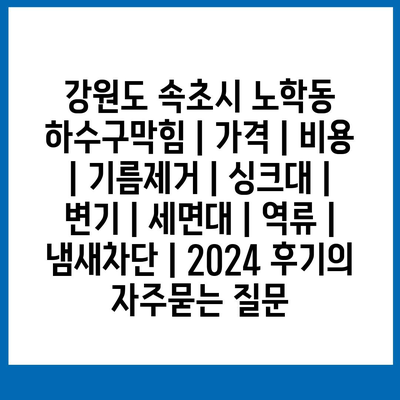 강원도 속초시 노학동 하수구막힘 | 가격 | 비용 | 기름제거 | 싱크대 | 변기 | 세면대 | 역류 | 냄새차단 | 2024 후기