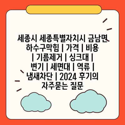 세종시 세종특별자치시 금남면 하수구막힘 | 가격 | 비용 | 기름제거 | 싱크대 | 변기 | 세면대 | 역류 | 냄새차단 | 2024 후기