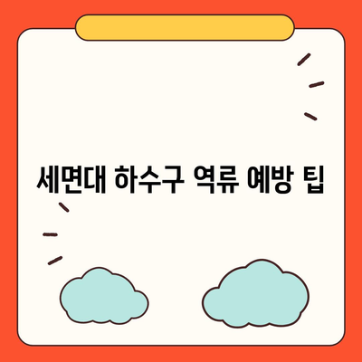 충청북도 청주시 상당구 용정동 하수구막힘 | 가격 | 비용 | 기름제거 | 싱크대 | 변기 | 세면대 | 역류 | 냄새차단 | 2024 후기