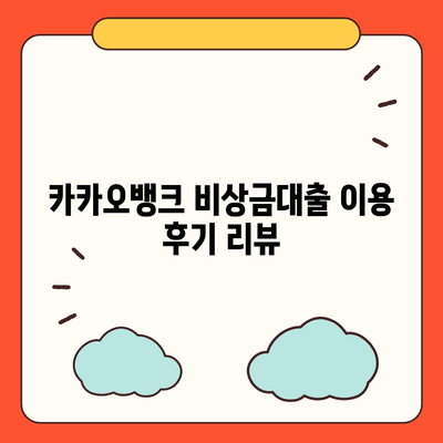 카카오뱅크 pc버전 비상금대출 pc버전 신용점수