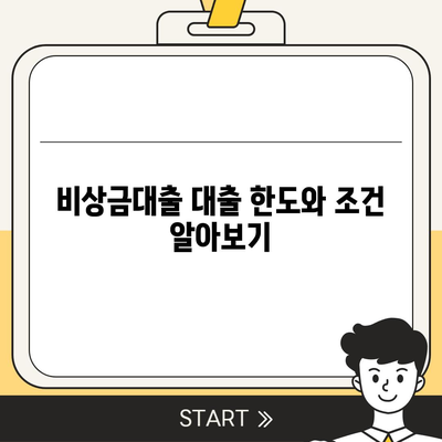 카카오뱅크 pc버전 비상금대출 pc버전 방법