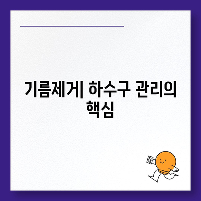 충청북도 괴산군 소수면 하수구막힘 | 가격 | 비용 | 기름제거 | 싱크대 | 변기 | 세면대 | 역류 | 냄새차단 | 2024 후기