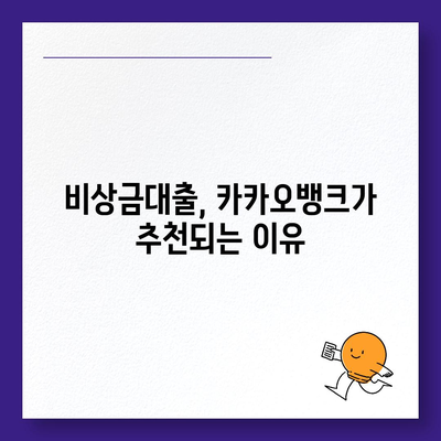 카카오뱅크 비상금대출 후기