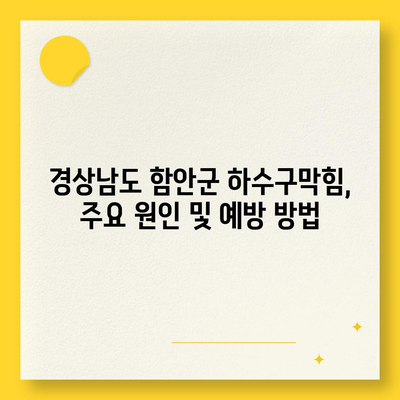 경상남도 함안군 함안면 하수구막힘 | 가격 | 비용 | 기름제거 | 싱크대 | 변기 | 세면대 | 역류 | 냄새차단 | 2024 후기