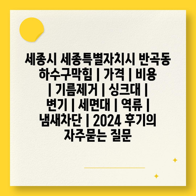 세종시 세종특별자치시 반곡동 하수구막힘 | 가격 | 비용 | 기름제거 | 싱크대 | 변기 | 세면대 | 역류 | 냄새차단 | 2024 후기