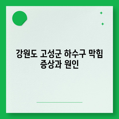 강원도 고성군 거진읍 하수구막힘 | 가격 | 비용 | 기름제거 | 싱크대 | 변기 | 세면대 | 역류 | 냄새차단 | 2024 후기