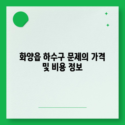 경상북도 청도군 화양읍 하수구막힘 | 가격 | 비용 | 기름제거 | 싱크대 | 변기 | 세면대 | 역류 | 냄새차단 | 2024 후기