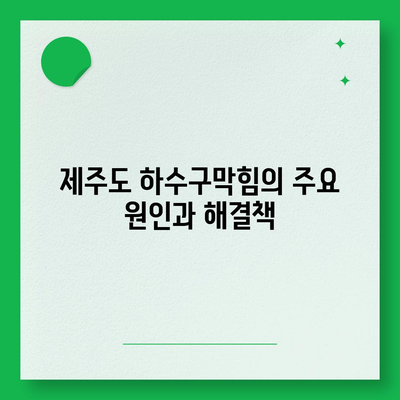 제주도 제주시 이도2동 하수구막힘 | 가격 | 비용 | 기름제거 | 싱크대 | 변기 | 세면대 | 역류 | 냄새차단 | 2024 후기