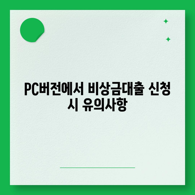 카카오뱅크 pc버전 비상금대출 pc버전 거절