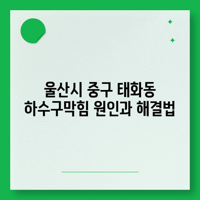 울산시 중구 태화동 하수구막힘 | 가격 | 비용 | 기름제거 | 싱크대 | 변기 | 세면대 | 역류 | 냄새차단 | 2024 후기